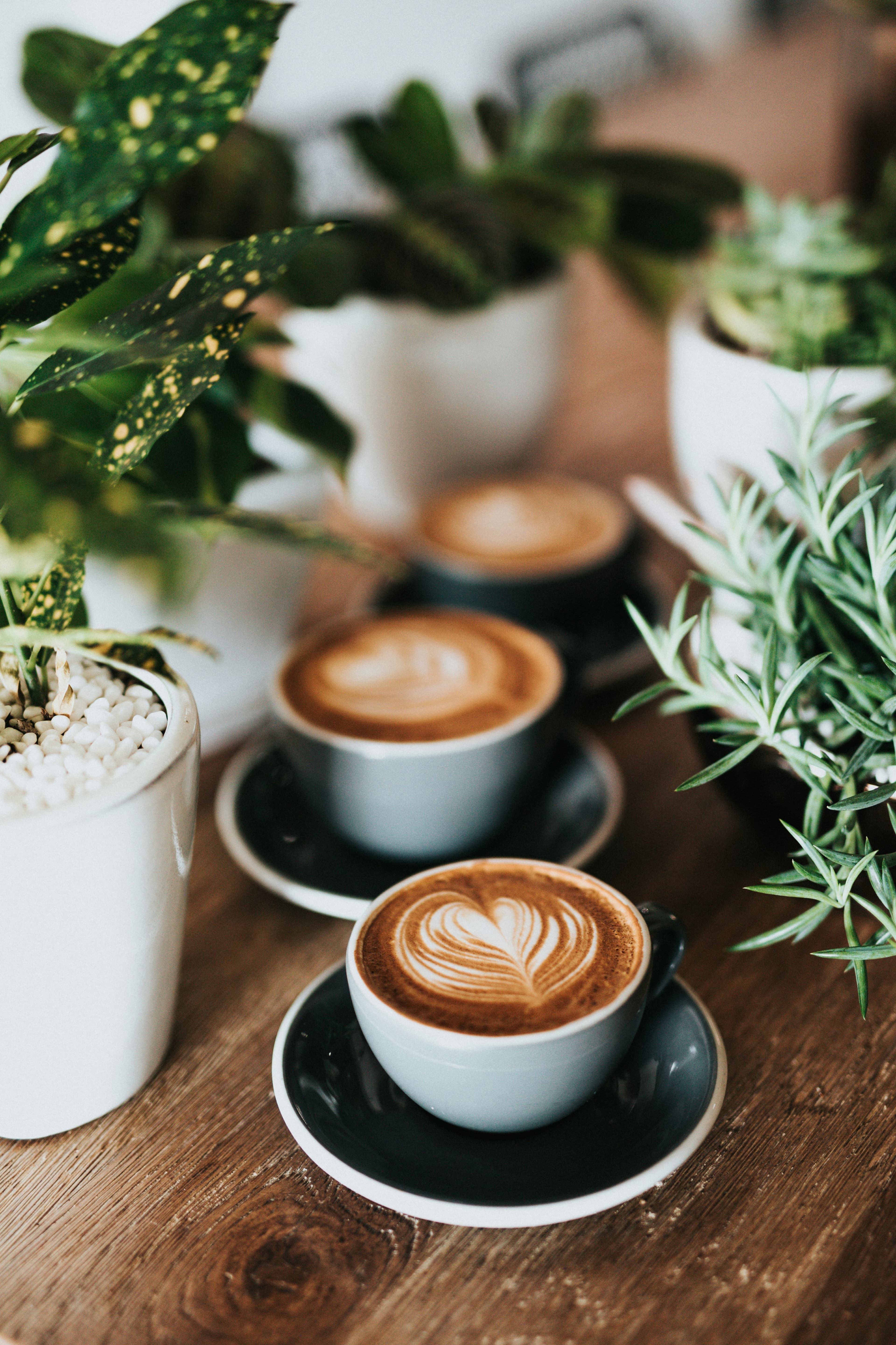 Coffee shop atmosphere